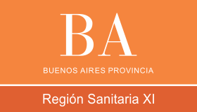 BA Región XI