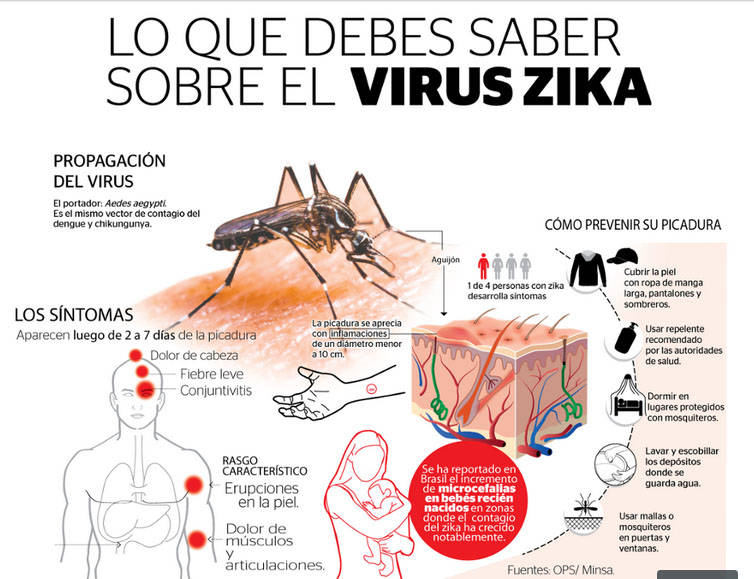 zika 2016 2