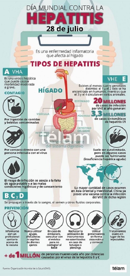 D A Mundial Contra La Hepatitis Julio Infograf A Fuente Oms